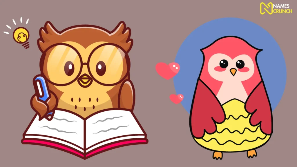 250+ Funny Owl Names (Clever Ideas) Names Crunch
