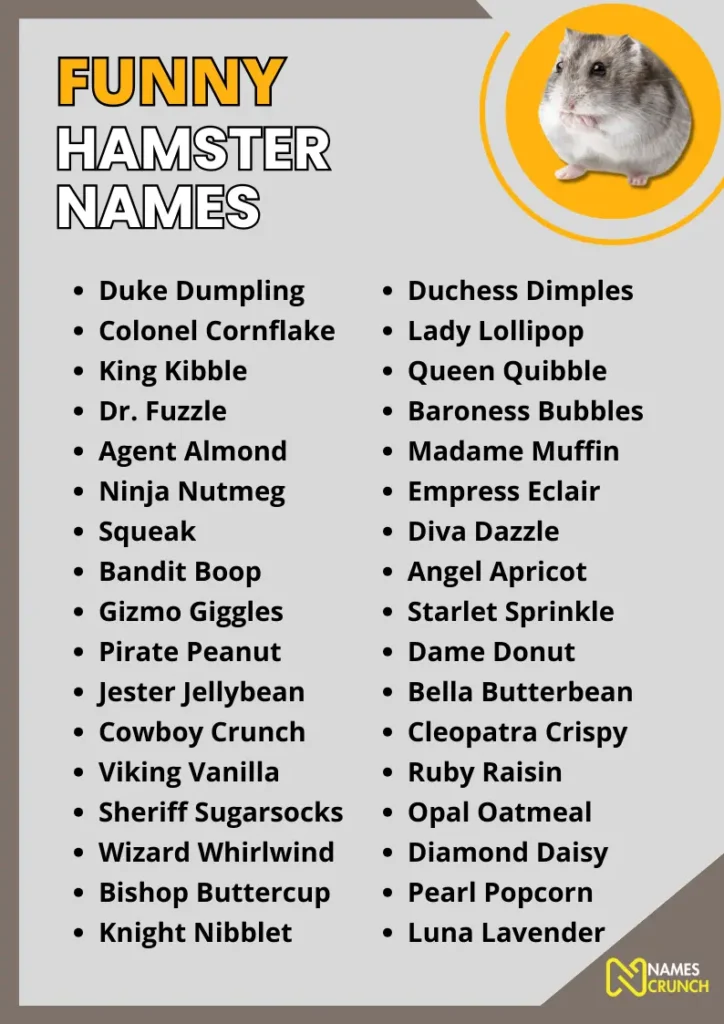 Dwarf Hamster Names Campbell s Dwarf Hamster Facts Information