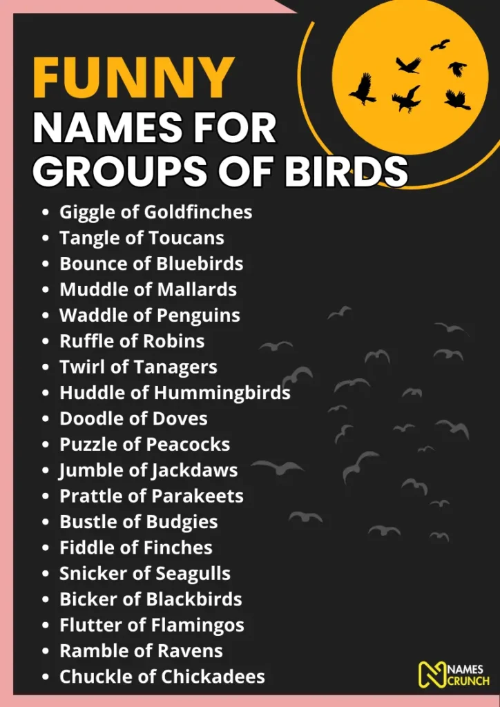 Funny Names For Groups Of Birds Unique Ideas Names Crunch