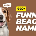 Funny Beagle Names