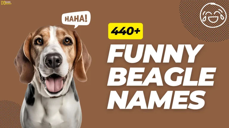 500 Cool Funny Folder Names Names Crunch 500 Cool Funny Folder Names Names Crunch